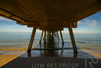 February 2024 / Lifestyle-240211-_Z9E6500