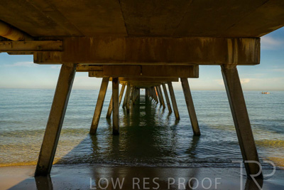 February 2024 / Lifestyle-240211-_Z9E6505