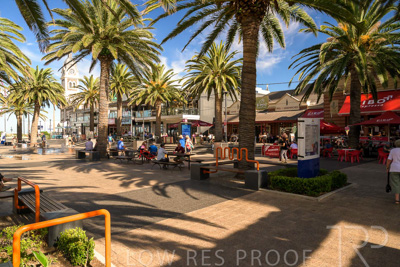 February 2024 / Lifestyle-240211-_Z9E8283