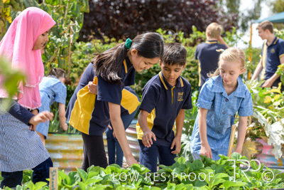 March 2021 / KLEMZIG_PRIMARY_210302_293