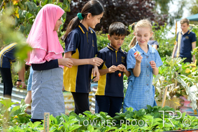 March 2021 / KLEMZIG_PRIMARY_210302_298