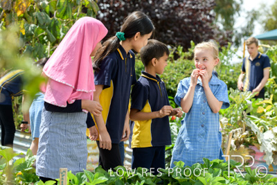 March 2021 / KLEMZIG_PRIMARY_210302_299