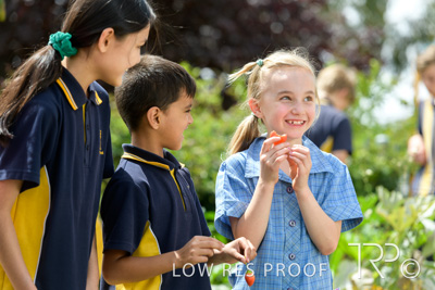 March 2021 / KLEMZIG_PRIMARY_210302_300