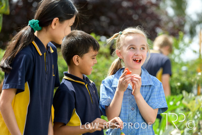 March 2021 / KLEMZIG_PRIMARY_210302_301