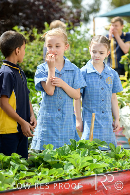 March 2021 / KLEMZIG_PRIMARY_210302_302