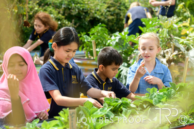 March 2021 / KLEMZIG_PRIMARY_210302_305