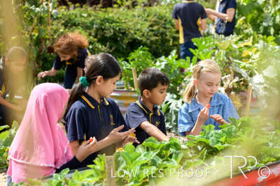 March 2021 / KLEMZIG_PRIMARY_210302_306