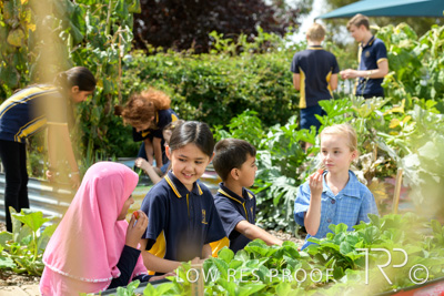 March 2021 / KLEMZIG_PRIMARY_210302_307