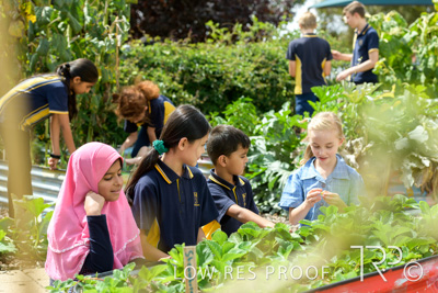 March 2021 / KLEMZIG_PRIMARY_210302_308