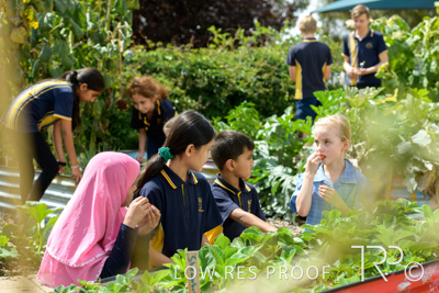 March 2021 / KLEMZIG_PRIMARY_210302_309