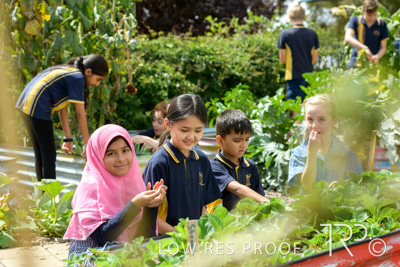 March 2021 / KLEMZIG_PRIMARY_210302_310