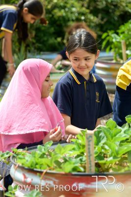 March 2021 / KLEMZIG_PRIMARY_210302_311