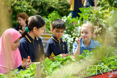 March 2021 / KLEMZIG_PRIMARY_210302_319