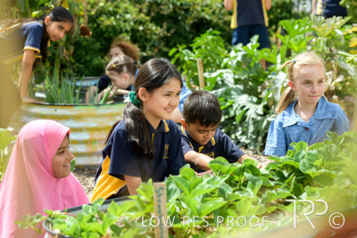 March 2021 / KLEMZIG_PRIMARY_210302_323