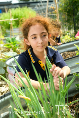 March 2021 / KLEMZIG_PRIMARY_210302_332