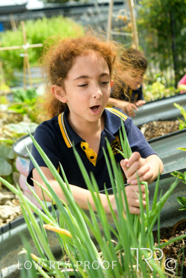 March 2021 / KLEMZIG_PRIMARY_210302_333