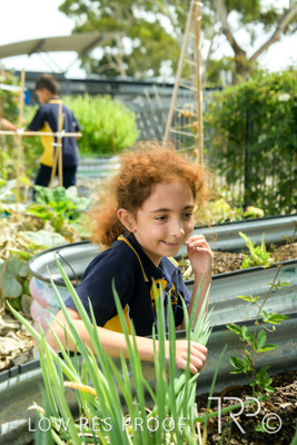 March 2021 / KLEMZIG_PRIMARY_210302_337