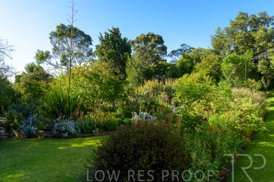 November 2023 / KURRALTA-GARDEN_231130-_Z9C3867