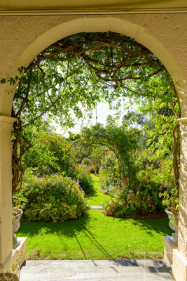 November 2023 / KURRALTA-GARDEN_231130-_Z9C3882