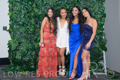 November 2022 / _Z9C1074