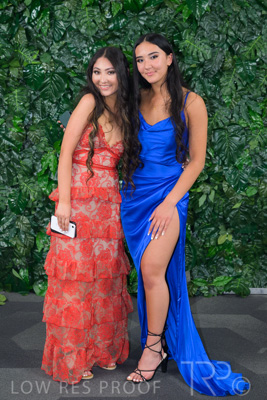 November 2022 / _Z9C1088