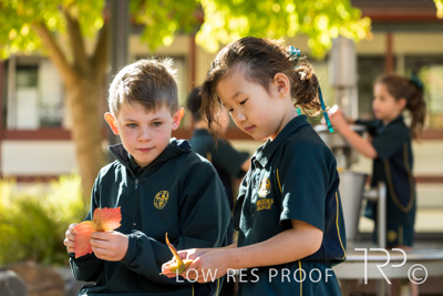 April 2023 / MERCEDES-230403-166