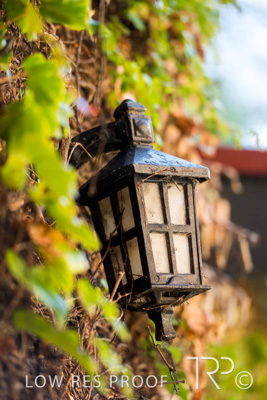 April 2023 / MERCEDES-230403-307