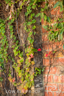 April 2023 / MERCEDES-230403-308