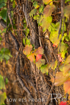 April 2023 / MERCEDES-230403-317