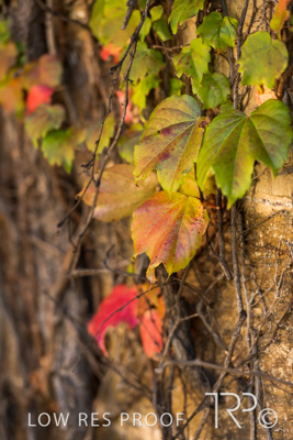 April 2023 / MERCEDES-230403-318