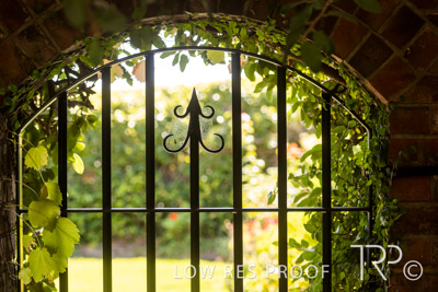 April 2023 / MERCEDES-230403-319