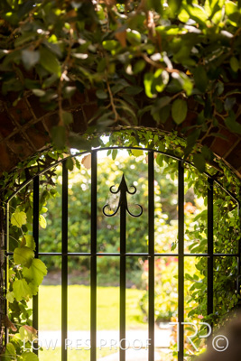 April 2023 / MERCEDES-230403-320