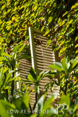 April 2023 / MERCEDES-230403-322