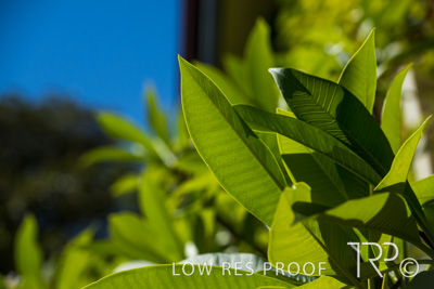 April 2023 / MERCEDES-230403-325