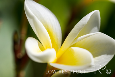 April 2023 / MERCEDES-230403-330