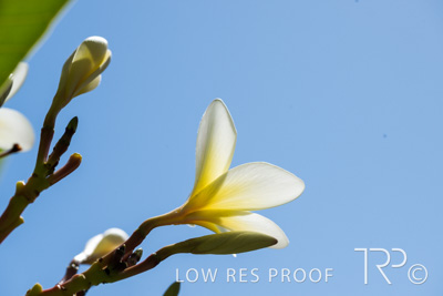 April 2023 / MERCEDES-230403-331