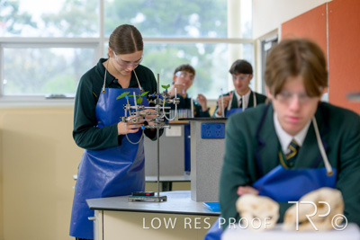 June 2023 / MERCEDES-230622-109