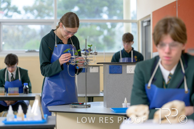 June 2023 / MERCEDES-230622-113