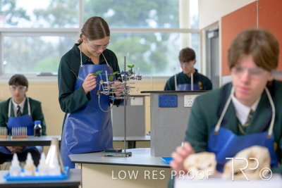 June 2023 / MERCEDES-230622-114