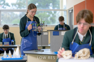 June 2023 / MERCEDES-230622-115