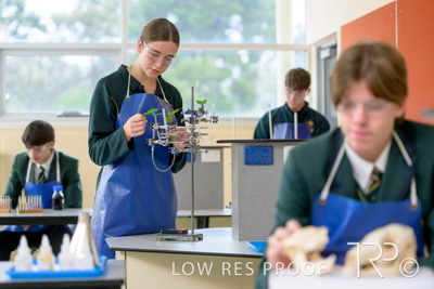 June 2023 / MERCEDES-230622-119