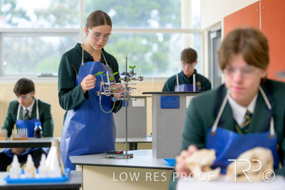 June 2023 / MERCEDES-230622-120