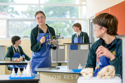 June 2023 / MERCEDES-230622-133