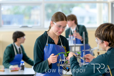 June 2023 / MERCEDES-230622-141