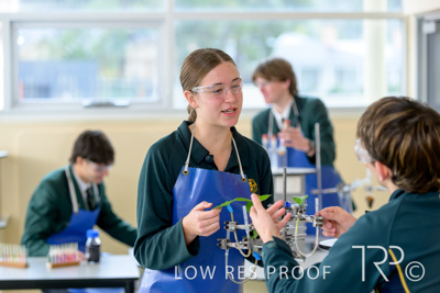 June 2023 / MERCEDES-230622-145