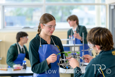 June 2023 / MERCEDES-230622-149