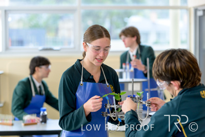 June 2023 / MERCEDES-230622-150