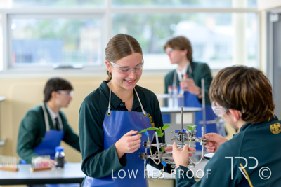 June 2023 / MERCEDES-230622-151