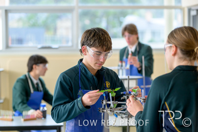 June 2023 / MERCEDES-230622-155