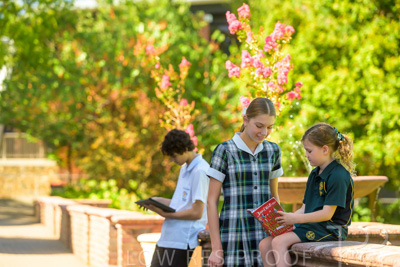 February 2024 / MERCEDES-Propectus-240212-_Z9E0011